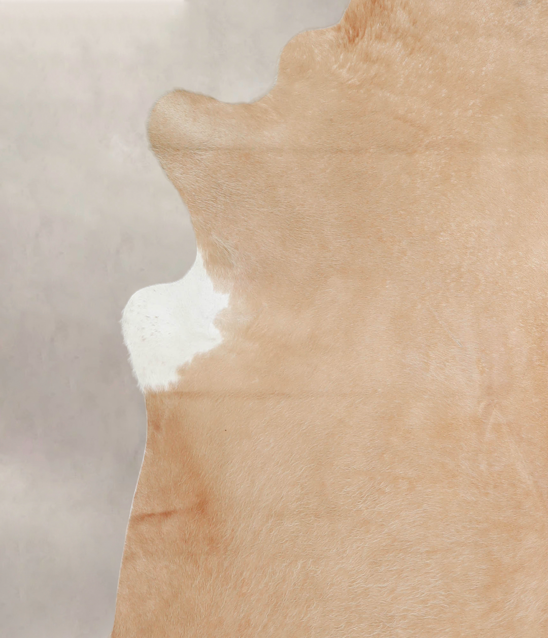 Beige XX-Large Brazilian Cowhide Rug 8'2"H x 7'0"W #A23030 by Hudson H