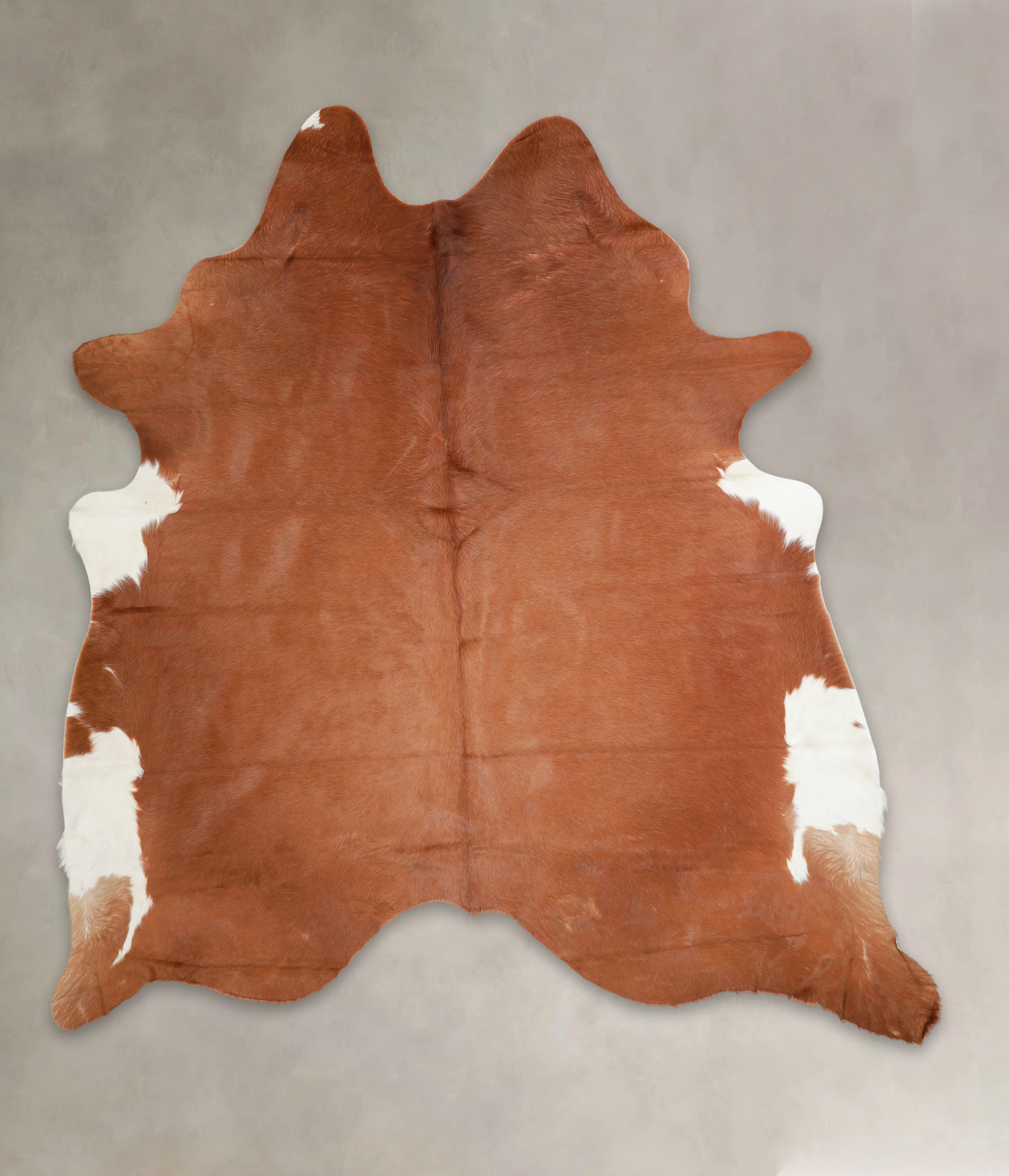 Solid Brown Cowhide Rug #A23047