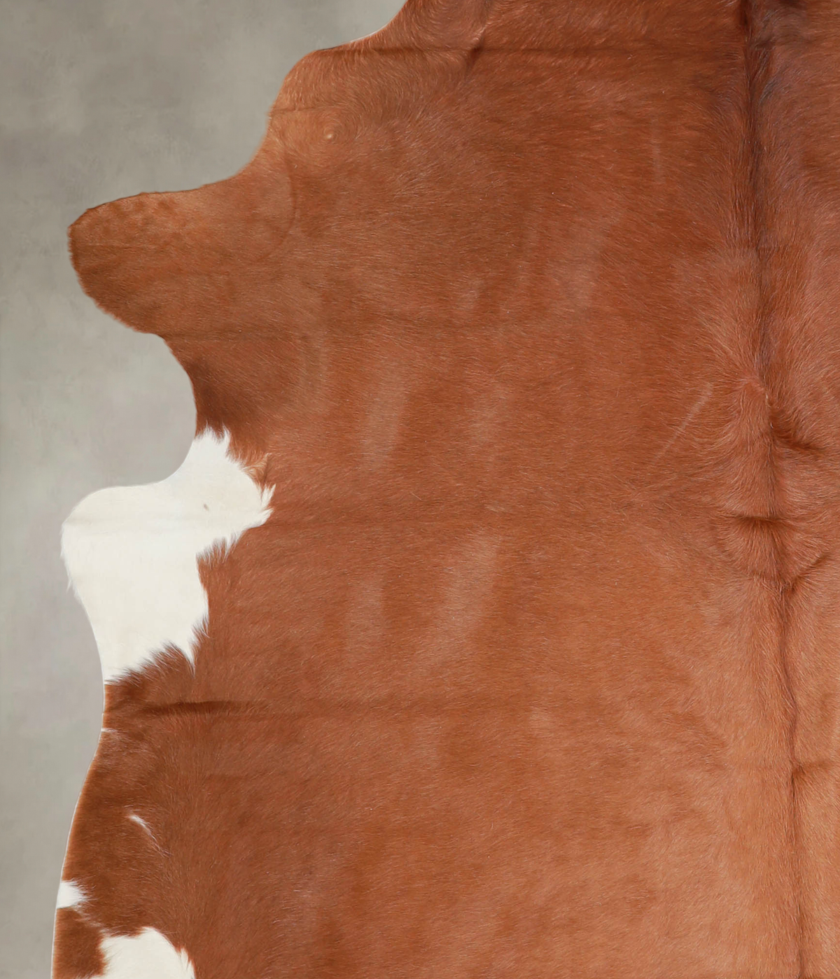 Solid Brown Cowhide Rug #A23047