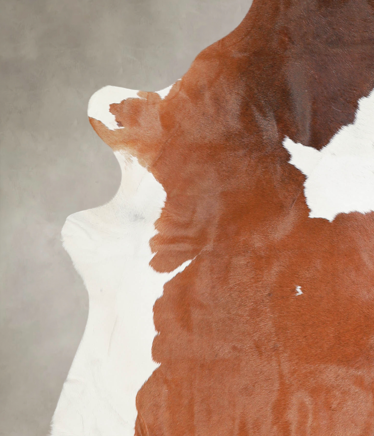 Brown and White X-Large Brazilian Cowhide Rug 7'0"H x 6'3"W #A23056 by Hudson Hides