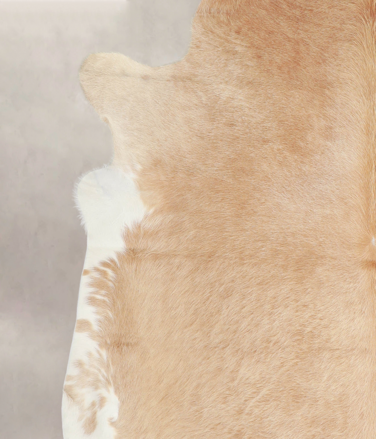 Beige XX-Large Brazilian Cowhide Rug 7'8"H x 6'10"W #A23098 by Hudson Hides