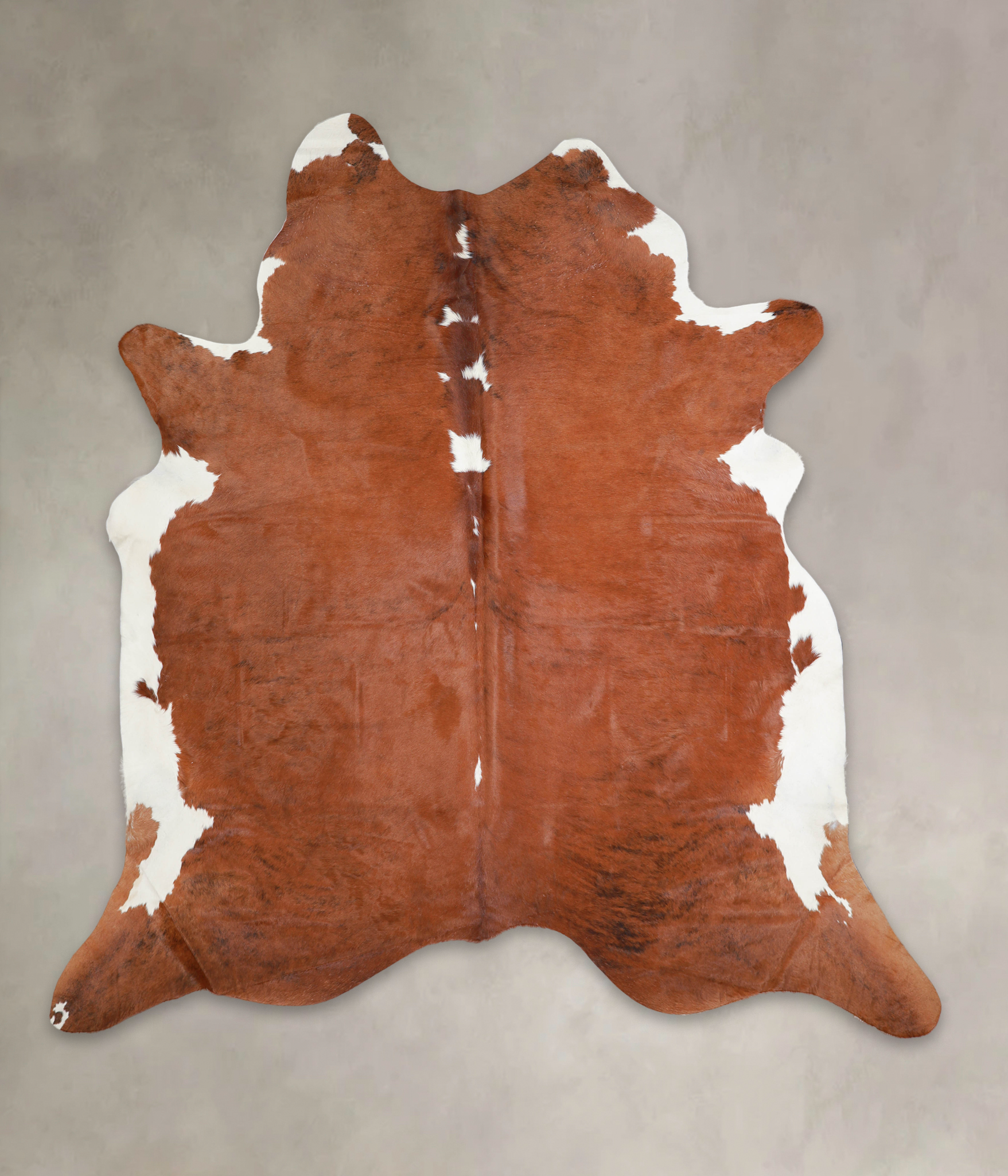 Brown and White Regular Cowhide Rug #A23171