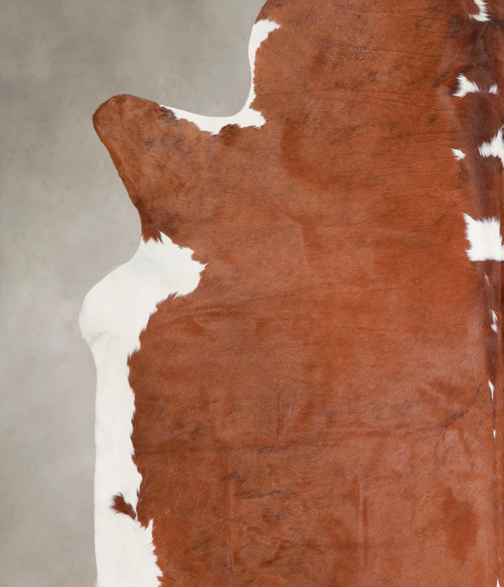 Brown and White Regular Cowhide Rug #A23171