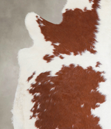 Brown and White X-Large Brazilian Cowhide Rug 6'8"H x 6'4"W #A23188 by Hudson Hides