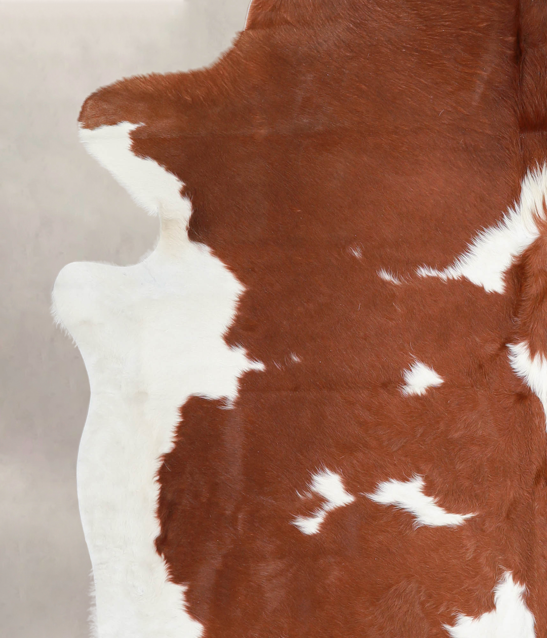 Brown and White XX-Large Brazilian Cowhide Rug 7'6"H x 7'0"W #A23205 b