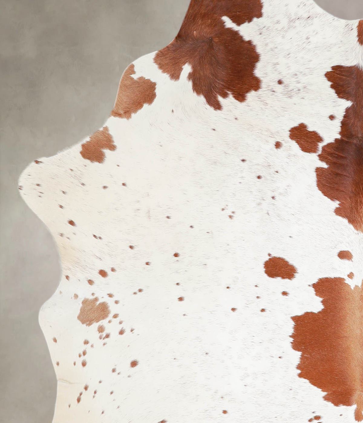 Brown and White X-Large Brazilian Cowhide Rug 7'5"H x 5'11"W #A23210 by Hudson Hides