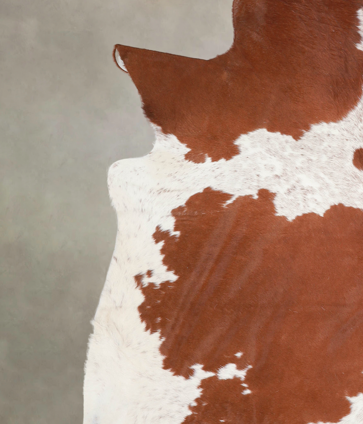 Brown and White XX-Large Brazilian Cowhide Rug 7'5"H x 7'3"W #A23216 by Hudson Hides