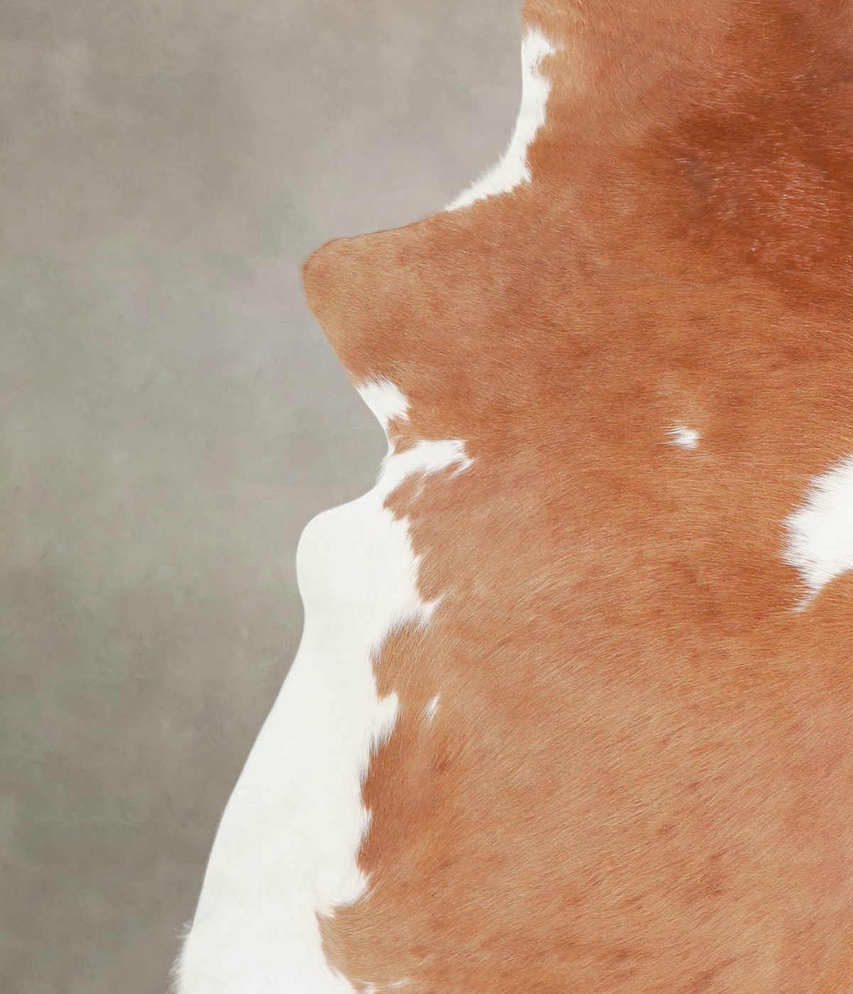 Brown and White XX-Large Brazilian Cowhide Rug 7'5"H x 7'2"W #A23222 by Hudson Hides