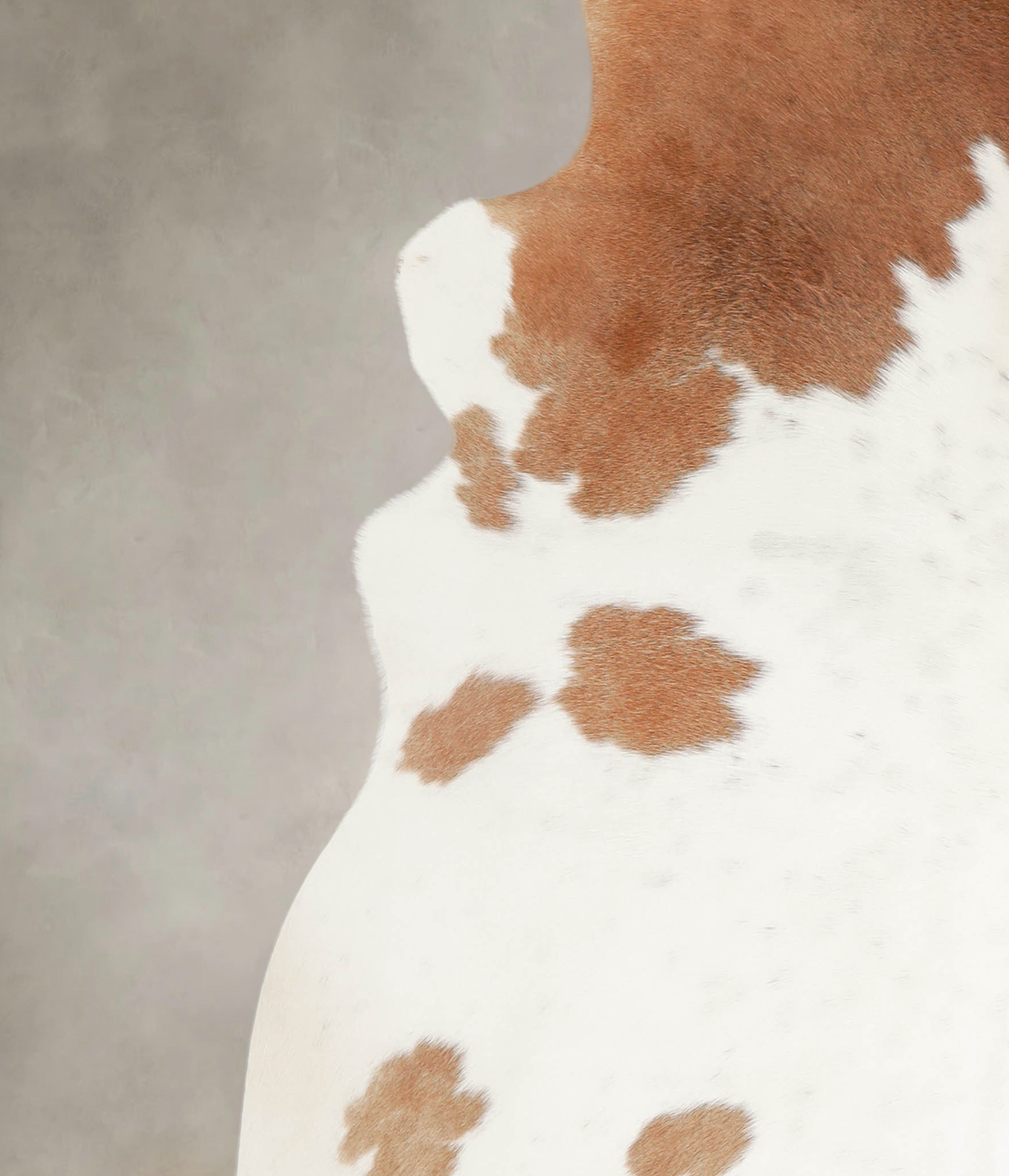 Brown and White XX-Large Brazilian Cowhide Rug 8'4"H x 7'2"W #A23223 by Hudson Hides