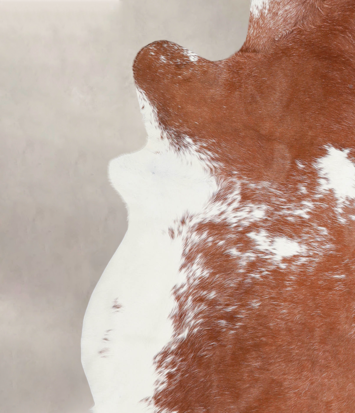 Brown and White XX-Large Brazilian Cowhide Rug 7'10"H x 6'8"W #A23224 by Hudson Hides