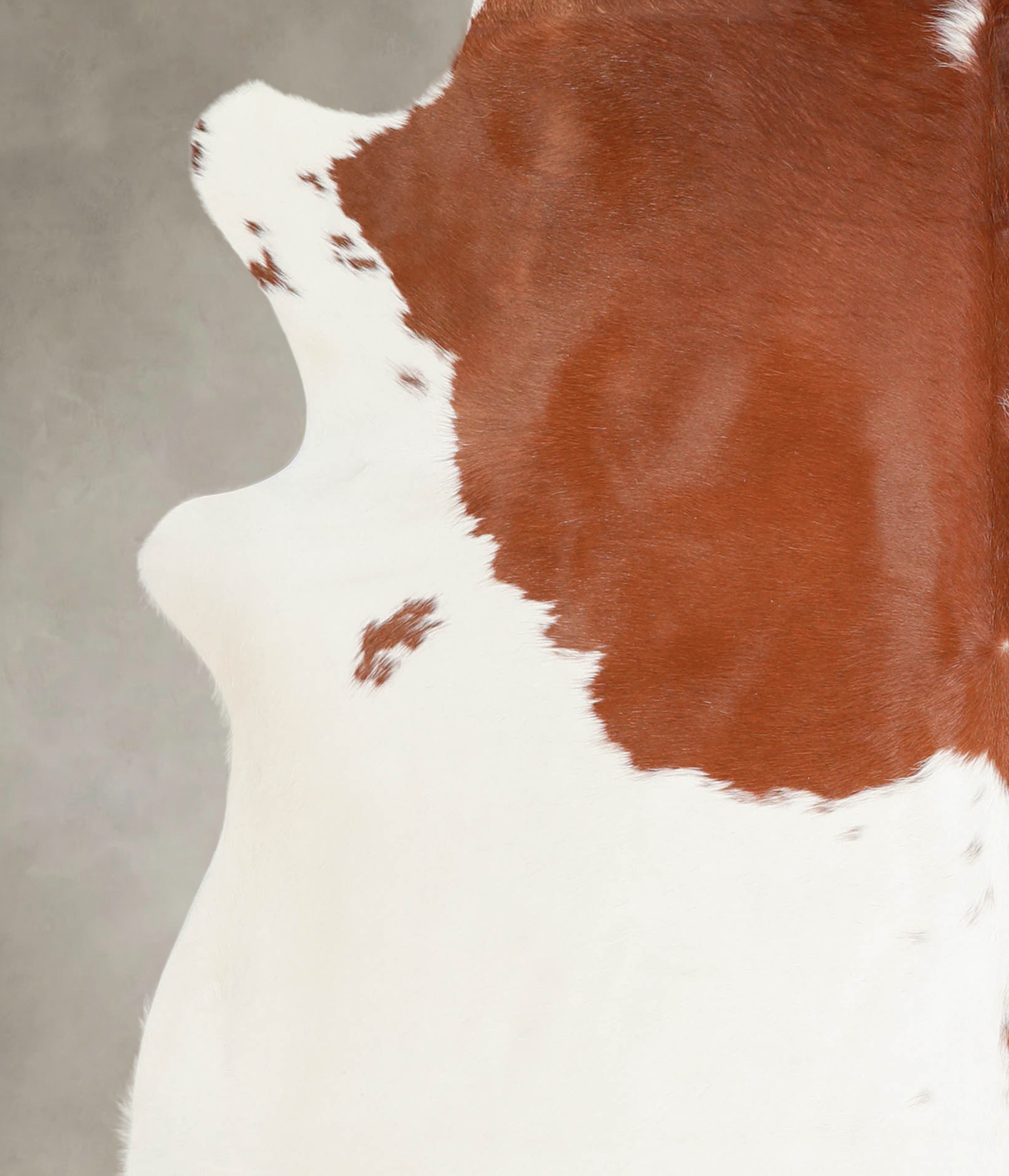 Brown and White X-Large Brazilian Cowhide Rug 6'10"H x 6'8"W #A23229 by Hudson Hides