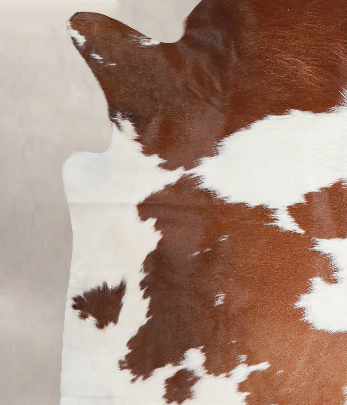 Brown and White X-Large Brazilian Cowhide Rug 6'6"H x 6'3"W #A23313 by Hudson Hides