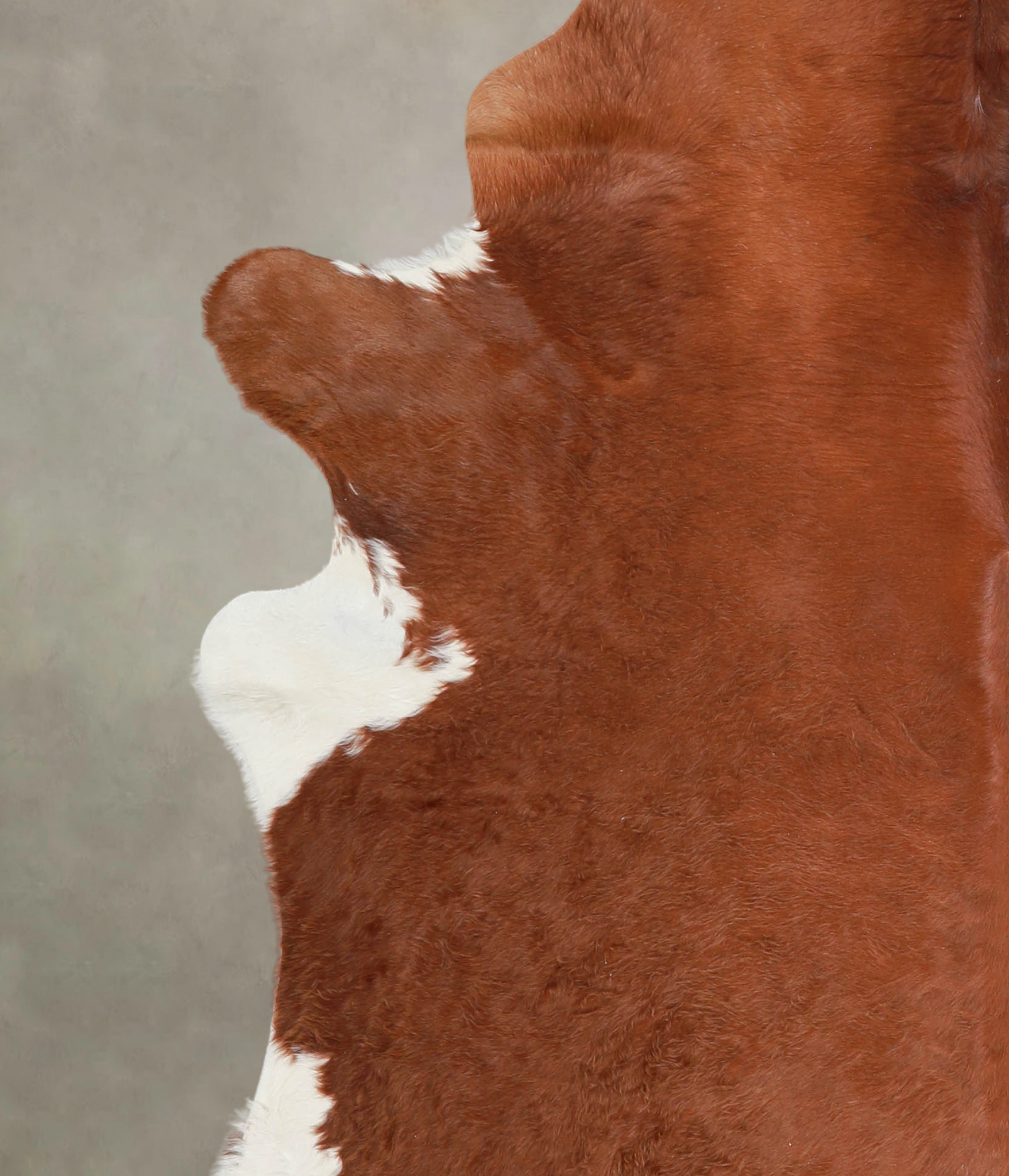 Solid Brown Cowhide Rug #A23330