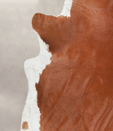 Solid Brown XX-Large Brazilian Cowhide Rug 7'4"H x 7'0"W #A23398 by Hudson Hides
