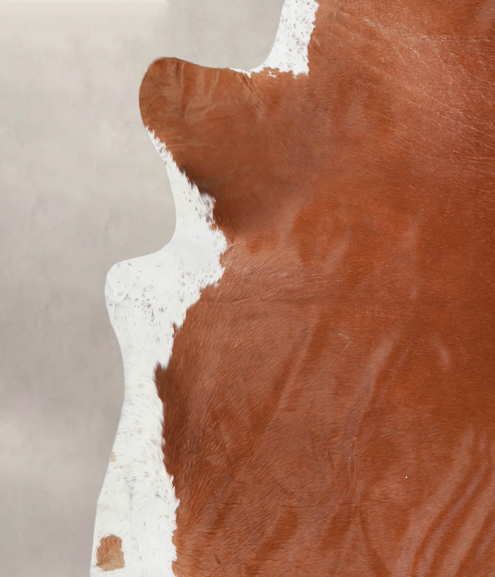 Solid Brown XX-Large Brazilian Cowhide Rug 7'4"H x 7'0"W #A23398 by Hudson Hides