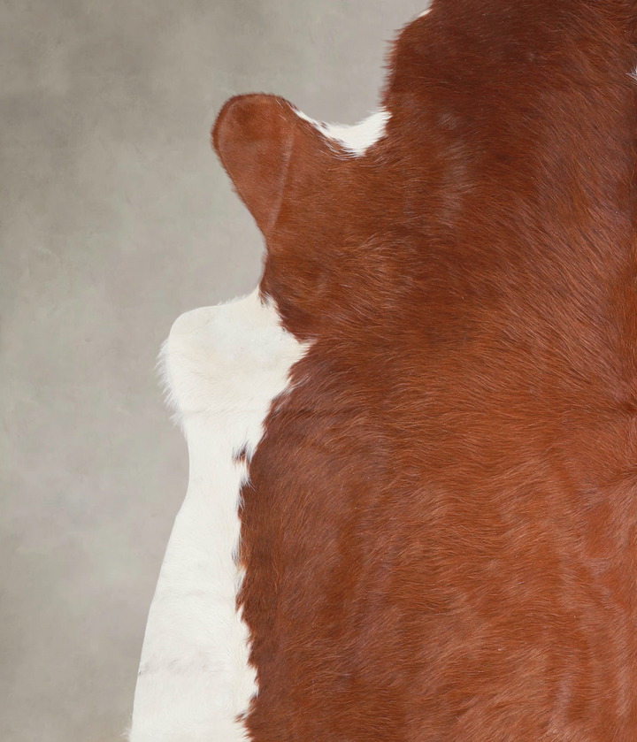 Brown and White Regular X-Large Brazilian Cowhide Rug 7'0"H x 6'9"W #A23401 by Hudson Hides