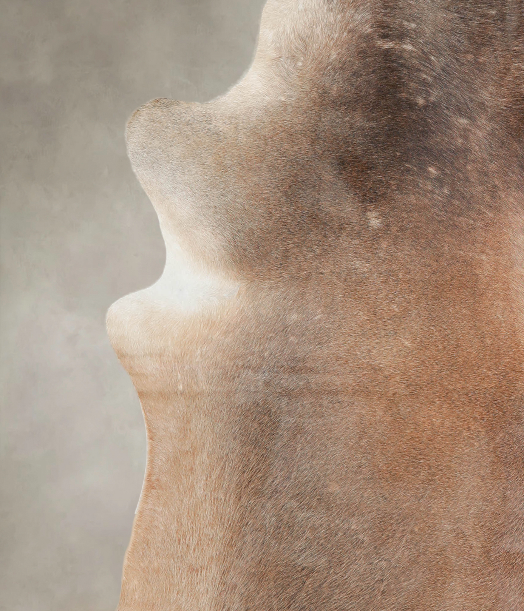 Grey with Beige Cowhide Rug #A23583