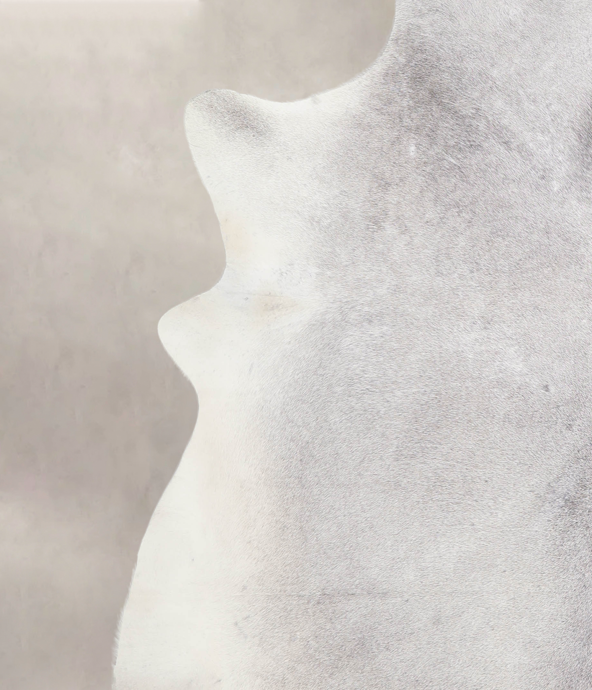 Medium Grey XX-Large Brazilian Cowhide Rug 7'6"H x 7'6"W #A23600 by Hudson Hides