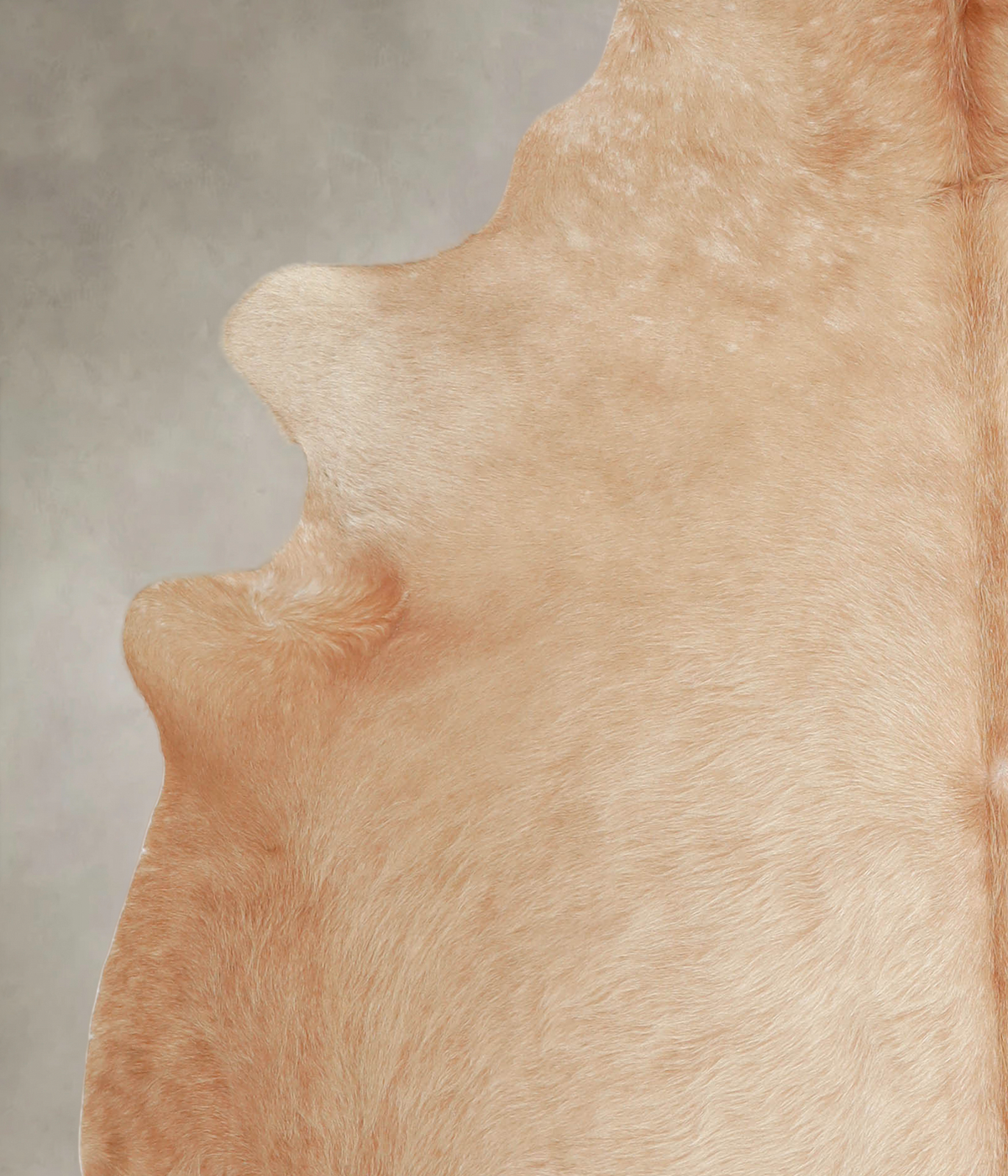 Beige X-Large Brazilian Cowhide Rug 7'2"H x 6'7"W #A23617 by Hudson Hides