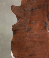 Medium Brindle X-Large Brazilian Cowhide Rug 6'5"H x 6'6"W #A23654 by Hudson Hides