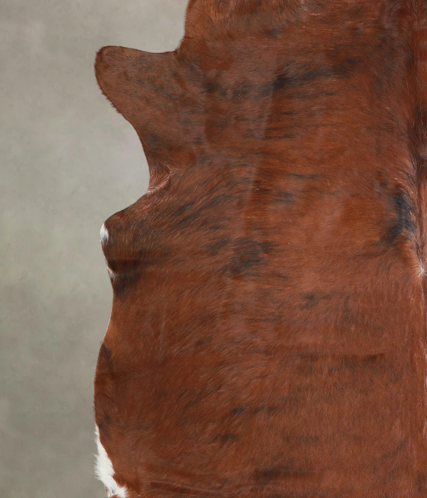 Medium Brindle Cowhide Rug #A23654