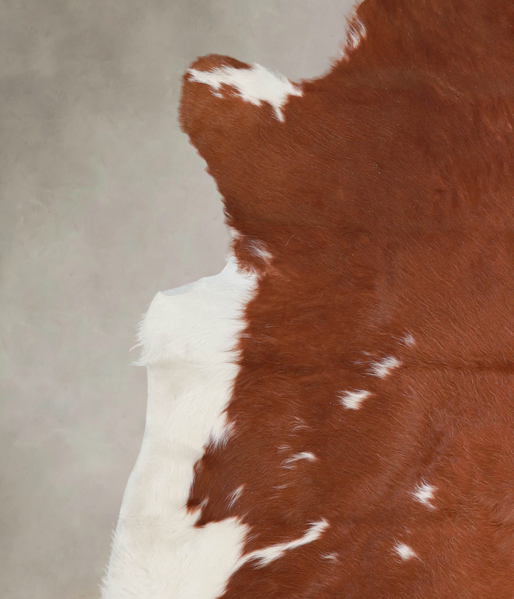Brown and White X-Large Brazilian Cowhide Rug 7'2"H x 6'2"W #A23656 by Hudson Hides