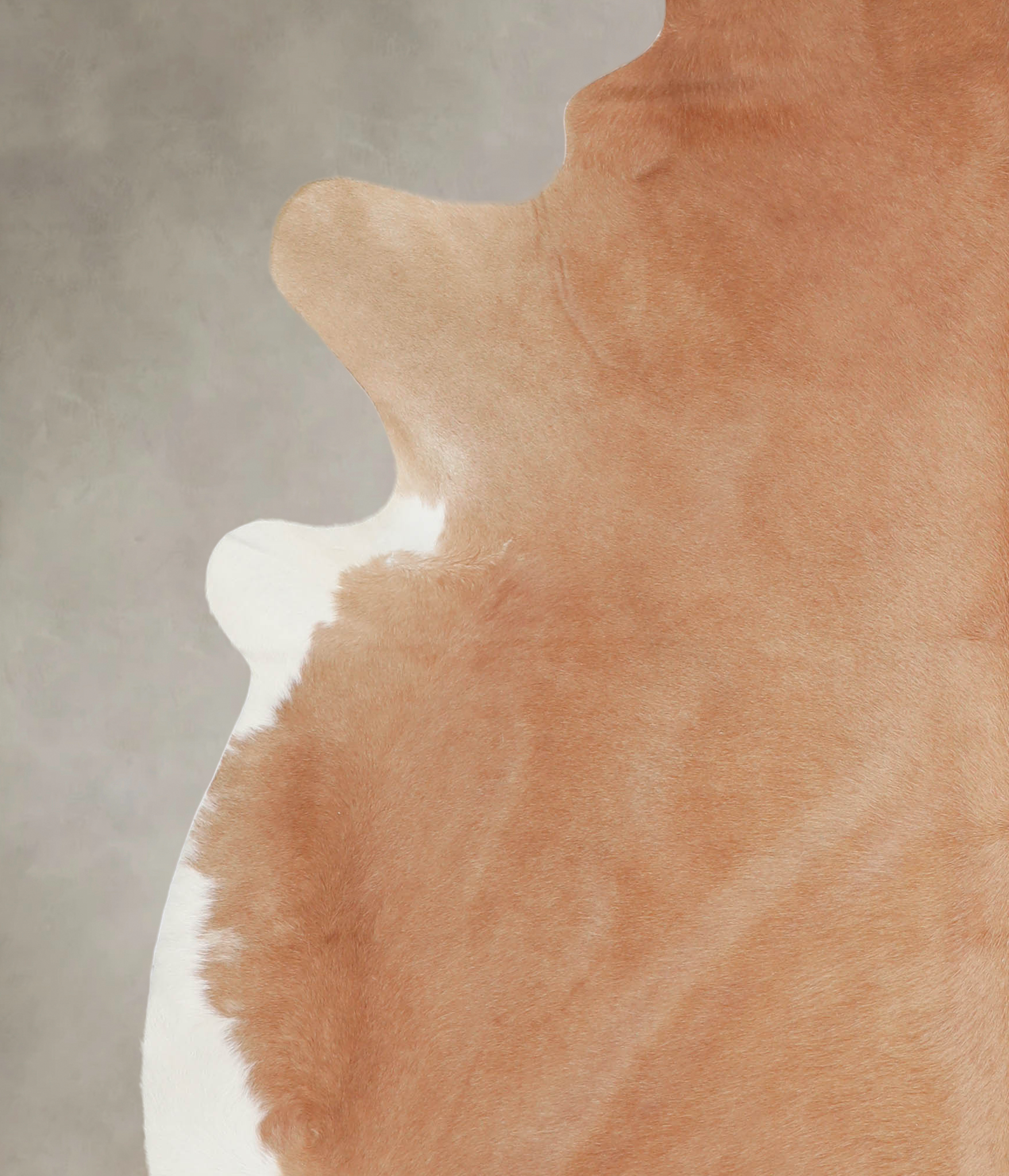 Solid Brown Cowhide Rug #A23668