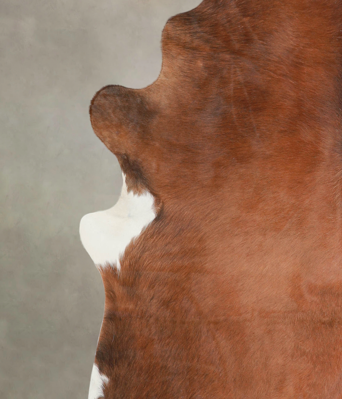 Solid Brown XX-Large Brazilian Cowhide Rug 7'8"H x 6'7"W #A23753 by Hudson Hides