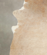 Beige X-Large Brazilian Cowhide Rug 7'3"H x 6'4"W #A23773 by Hudson Hides