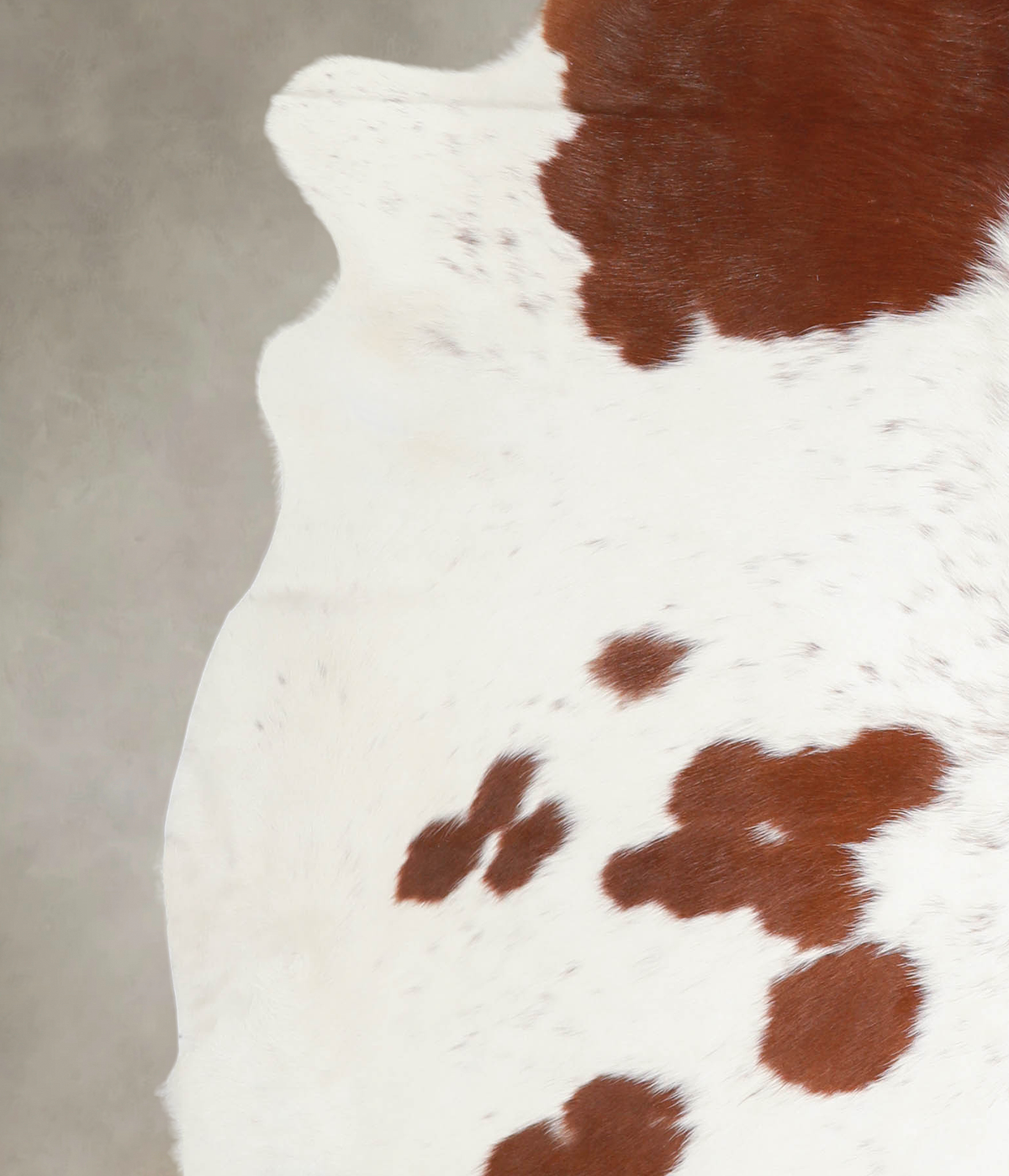 Brown and White X-Large Brazilian Cowhide Rug 6'6"H x 6'4"W #A23775 by Hudson Hides