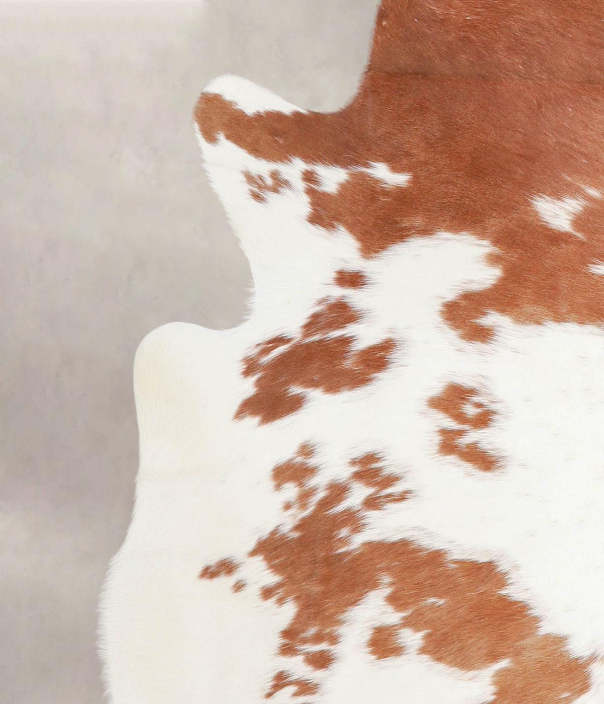 Brown and White X-Large Brazilian Cowhide Rug 6'10"H x 6'2"W #A23777 by Hudson Hides