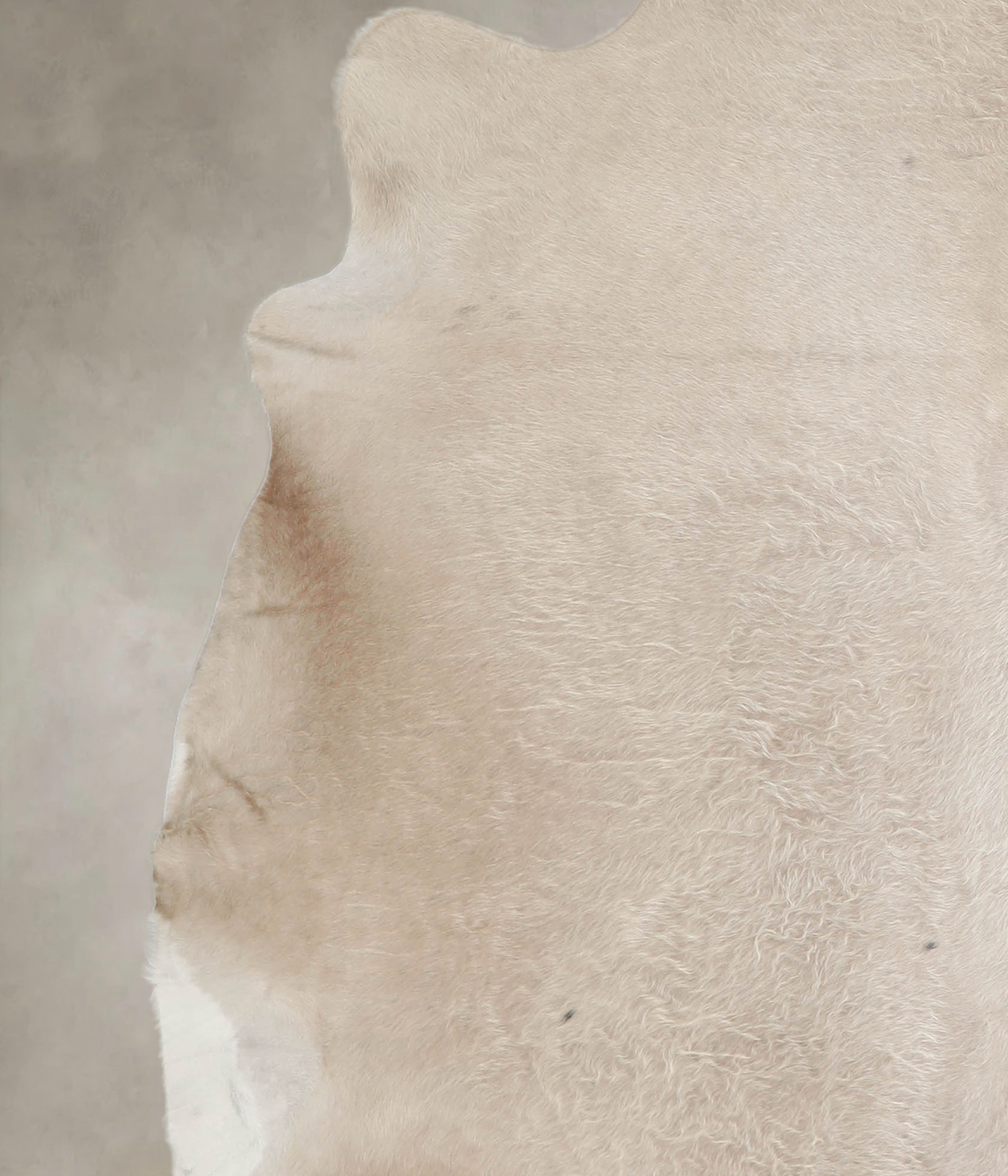 Champagne Cowhide Rug #A23781