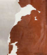 Brown and White X-Large Brazilian Cowhide Rug 6'3"H x 6'6"W #A23786 by Hudson Hides
