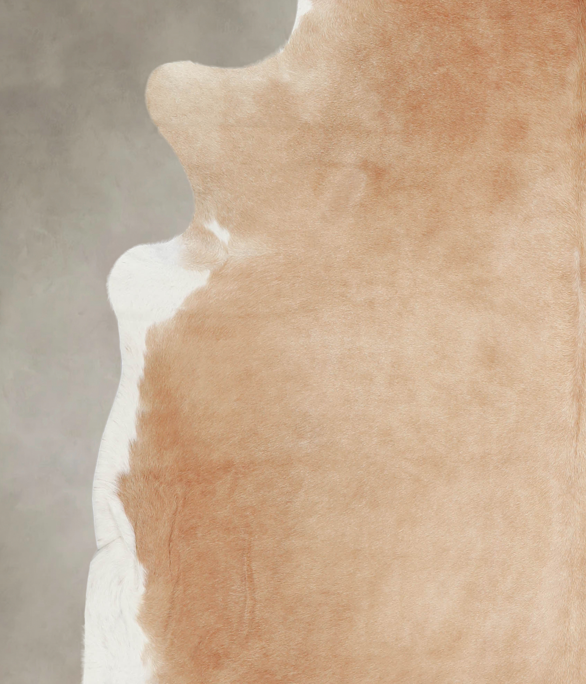 Beige X-Large Brazilian Cowhide Rug 7'0"H x 6'11"W #A23811 by Hudson Hides