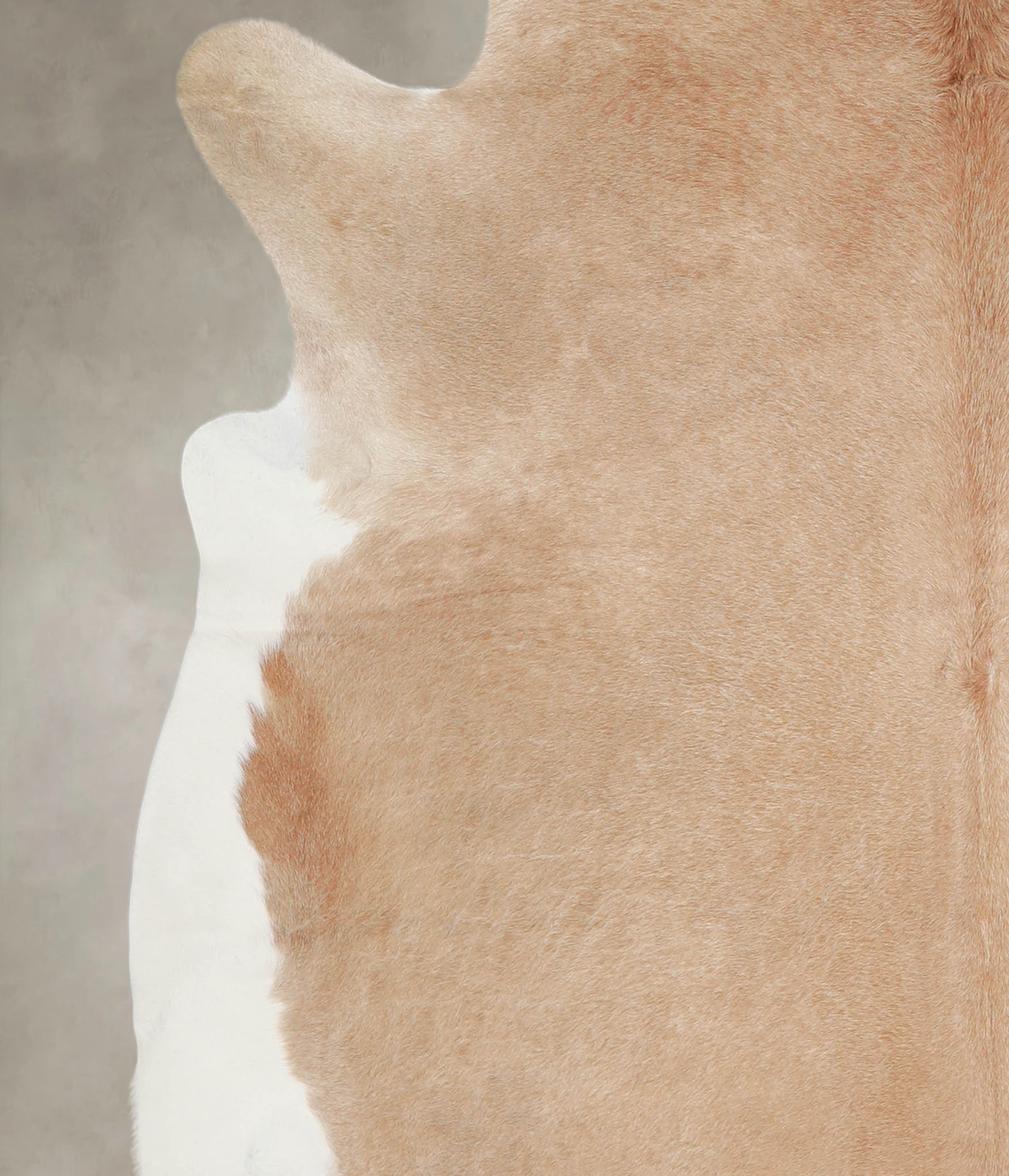 Beige XX-Large Brazilian Cowhide Rug 7'8"H x 7'2"W #A23816 by Hudson Hides