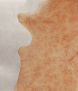 Beige X-Large Brazilian Cowhide Rug 7'1"H x 5'11"W #A23838 by Hudson Hides
