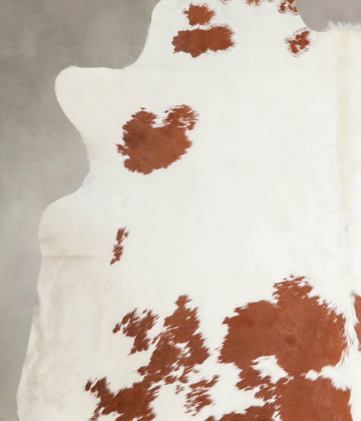 Brown and White XX-Large Brazilian Cowhide Rug 7'7"H x 6'11"W #A23856 by Hudson Hides