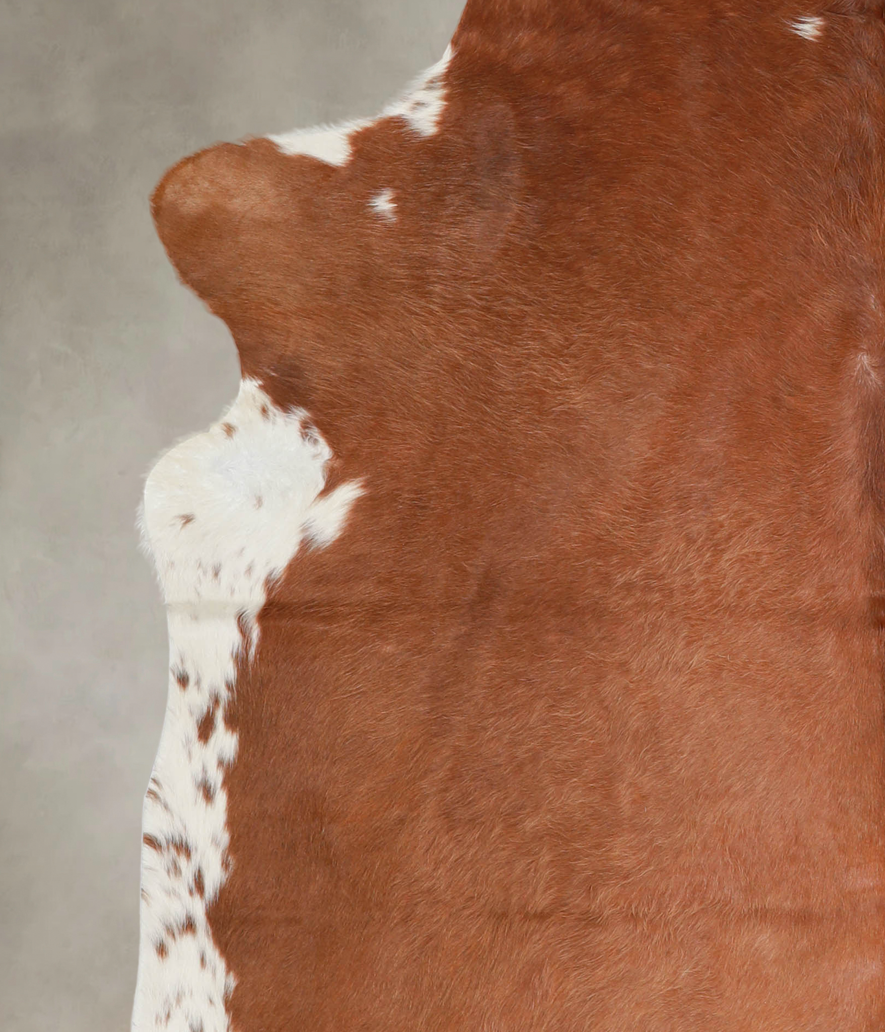 Brown and White Regular Cowhide Rug #A23882