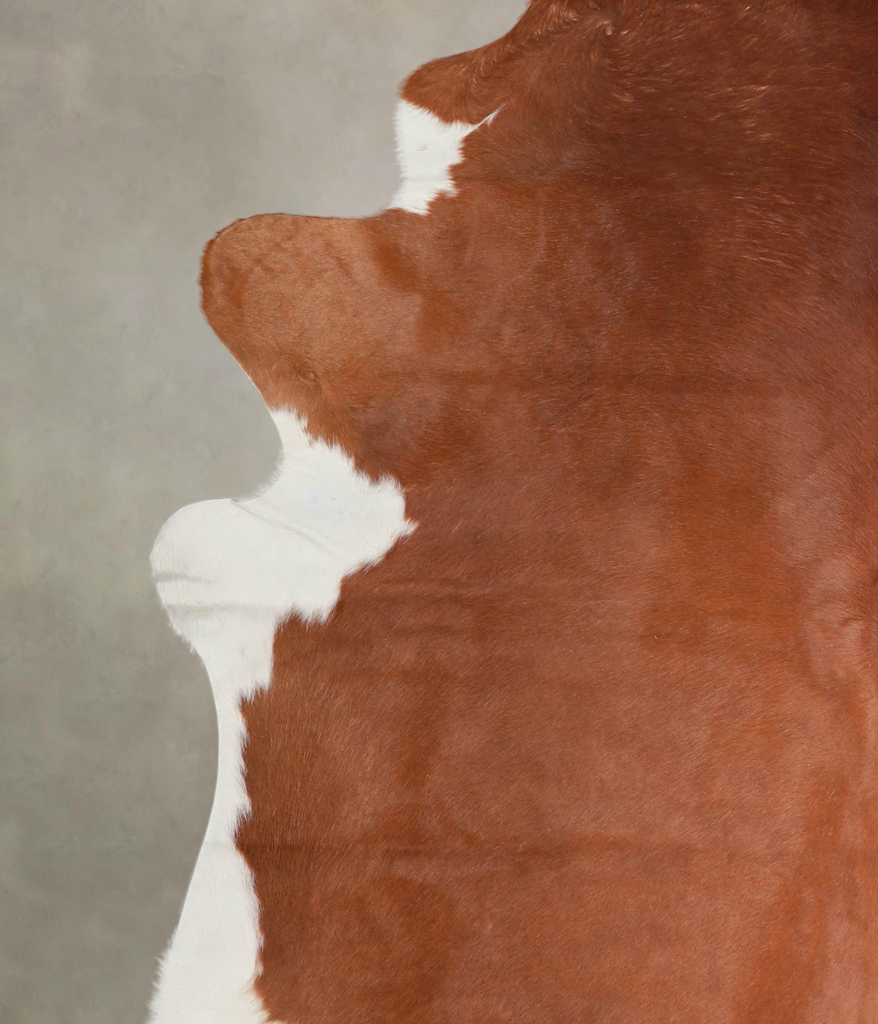 Brown and White Regular Cowhide Rug #A23889