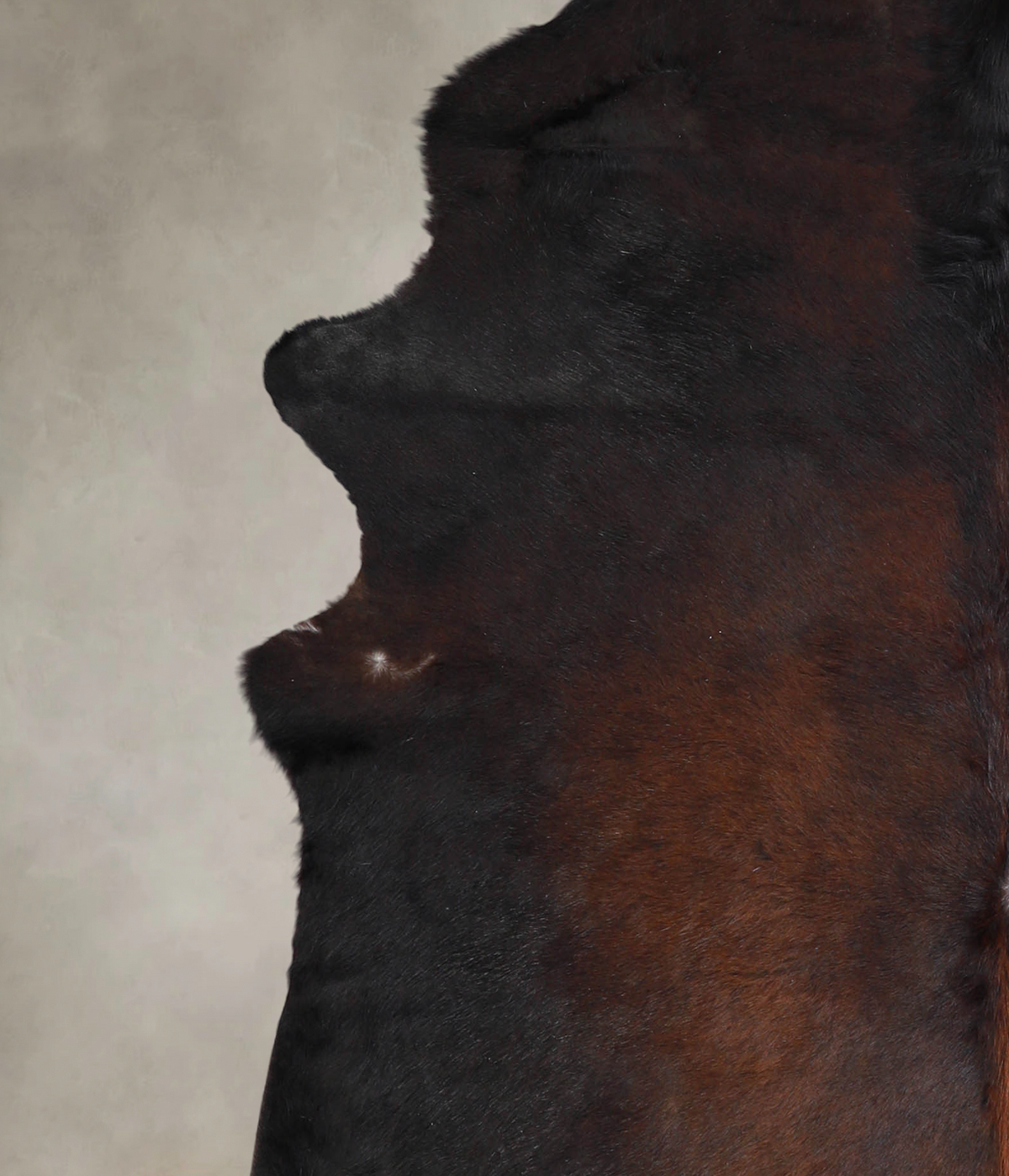 Chocolate X-Large Brazilian Cowhide Rug 7'7"H x 6'5"W #A23893 by Hudson Hides