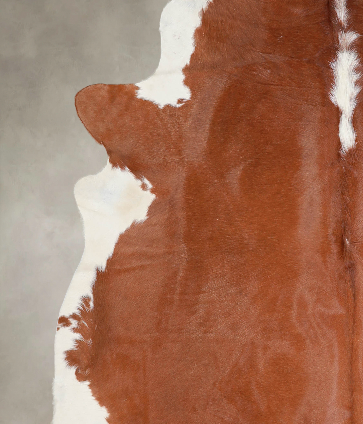 Hereford XX-Large Brazilian Cowhide Rug 7'6"H x 7'3"W #A23908 by Hudson Hides