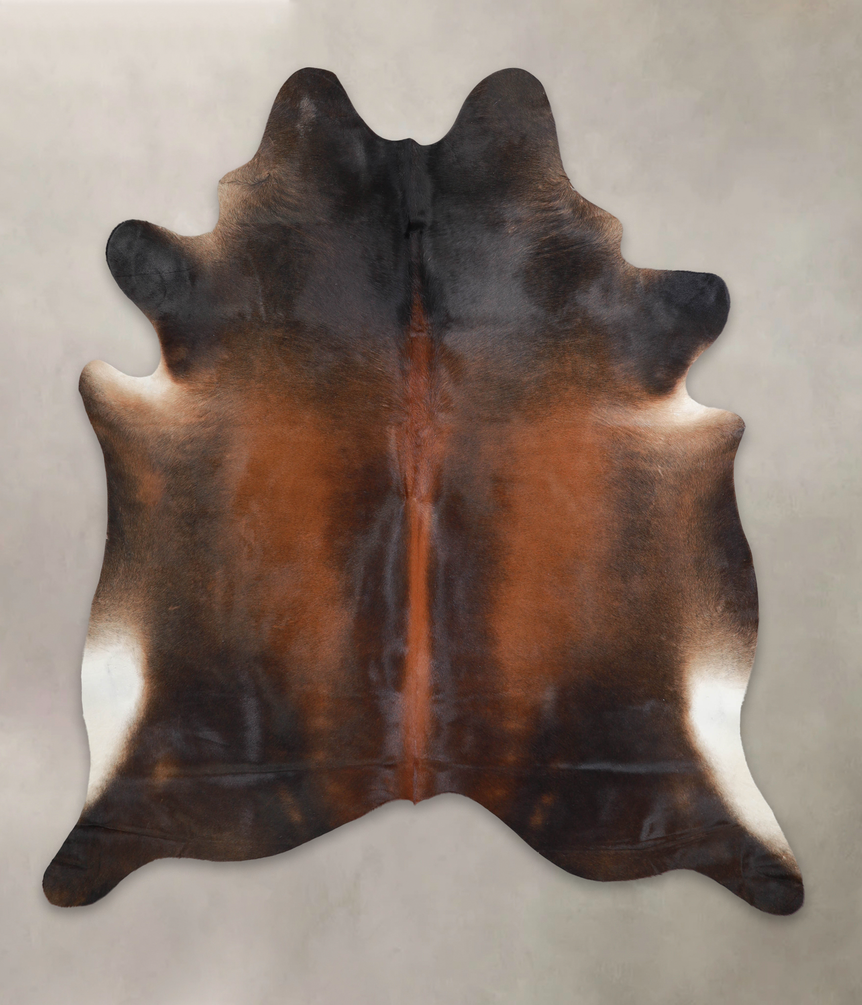 Brown with Red Cowhide Rug #A24229