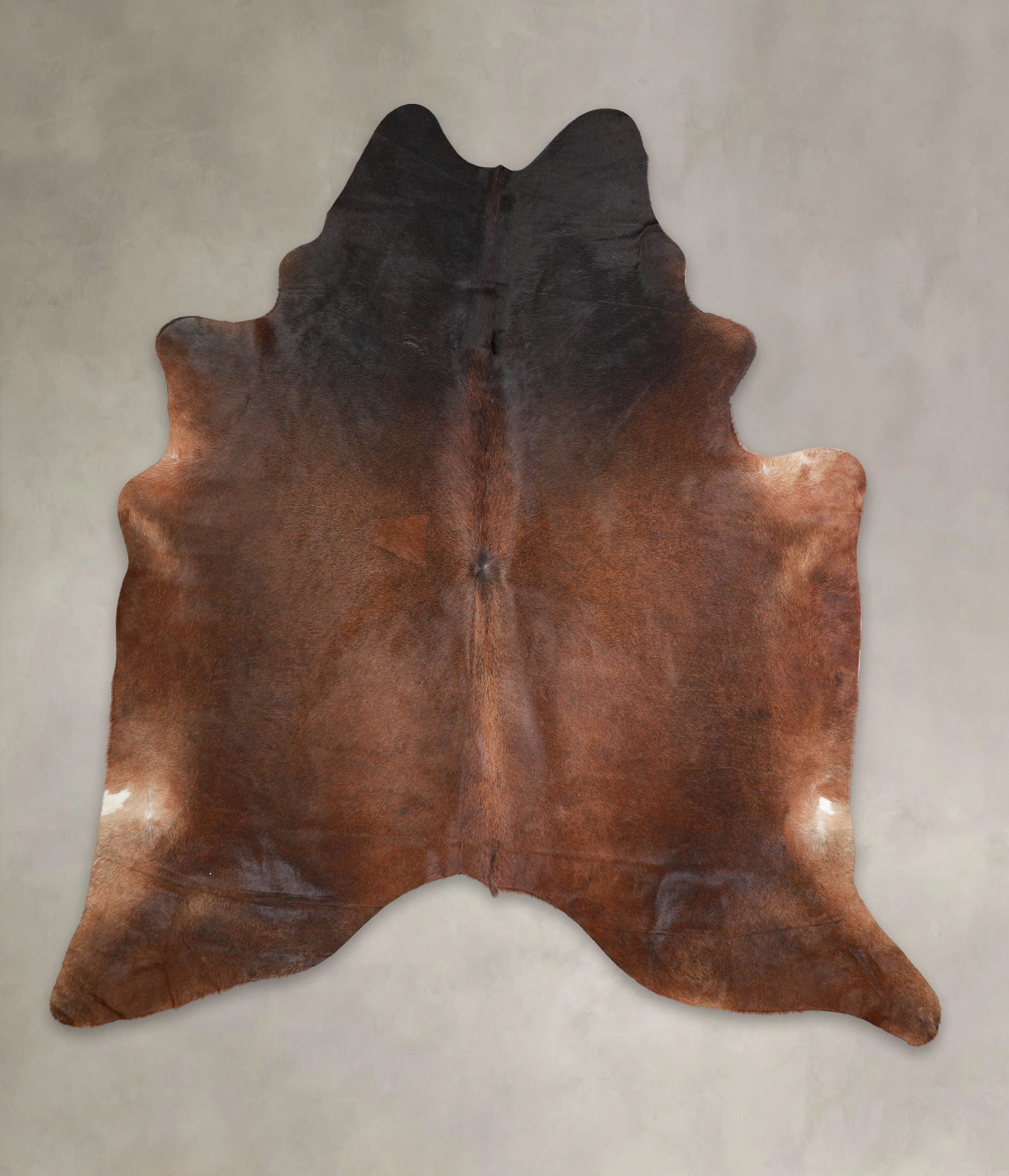 Brown with Red Cowhide Rug #A24233