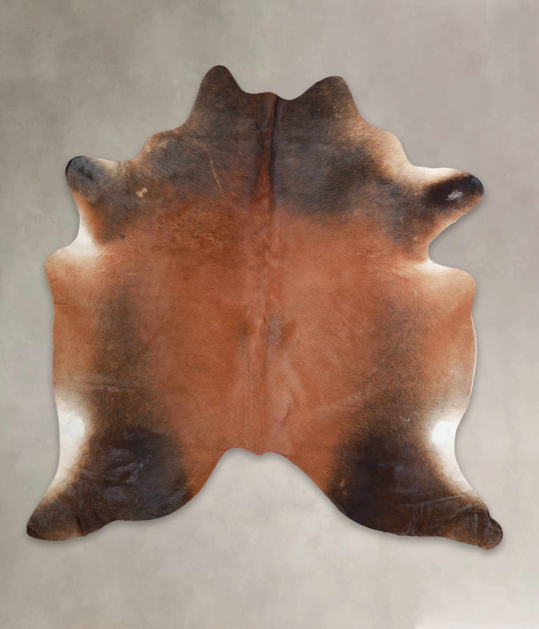 Brown with Red Cowhide Rug #A24234