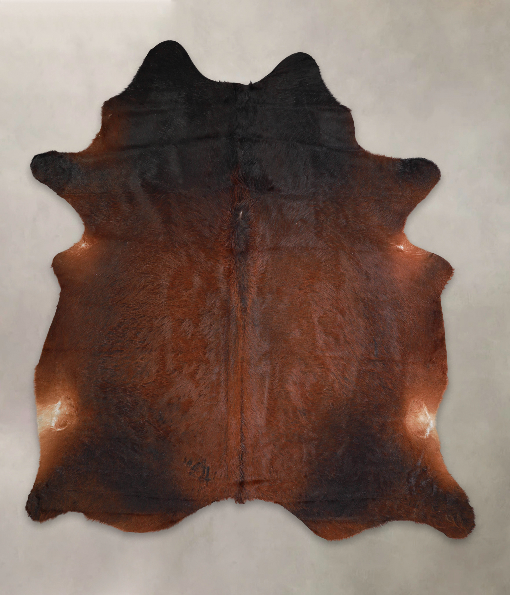 Brown with Red Cowhide Rug #A24258