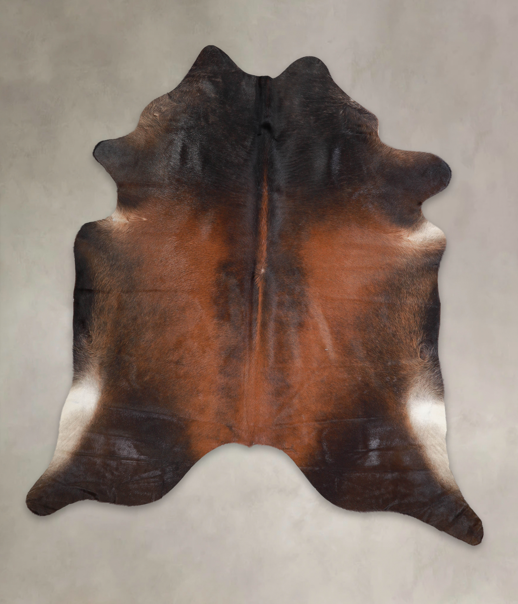 Brown with Red Cowhide Rug #A24259