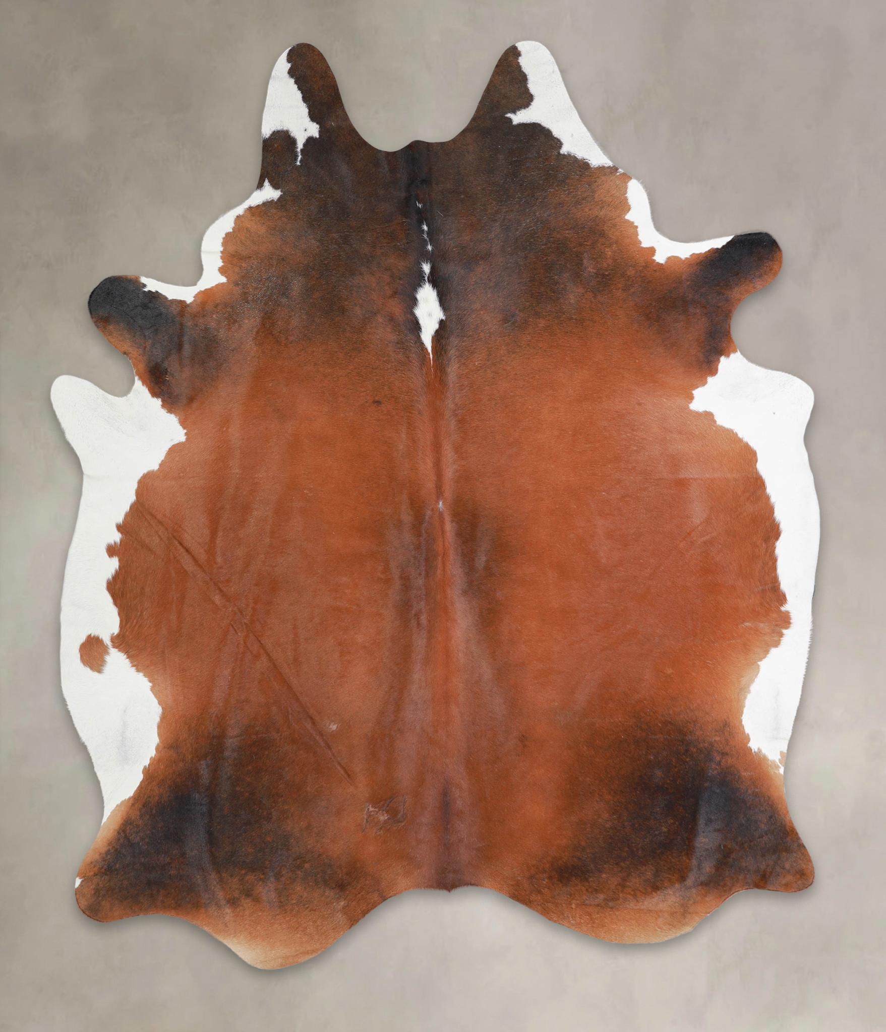 Brown with Red Cowhide Rug #A24305