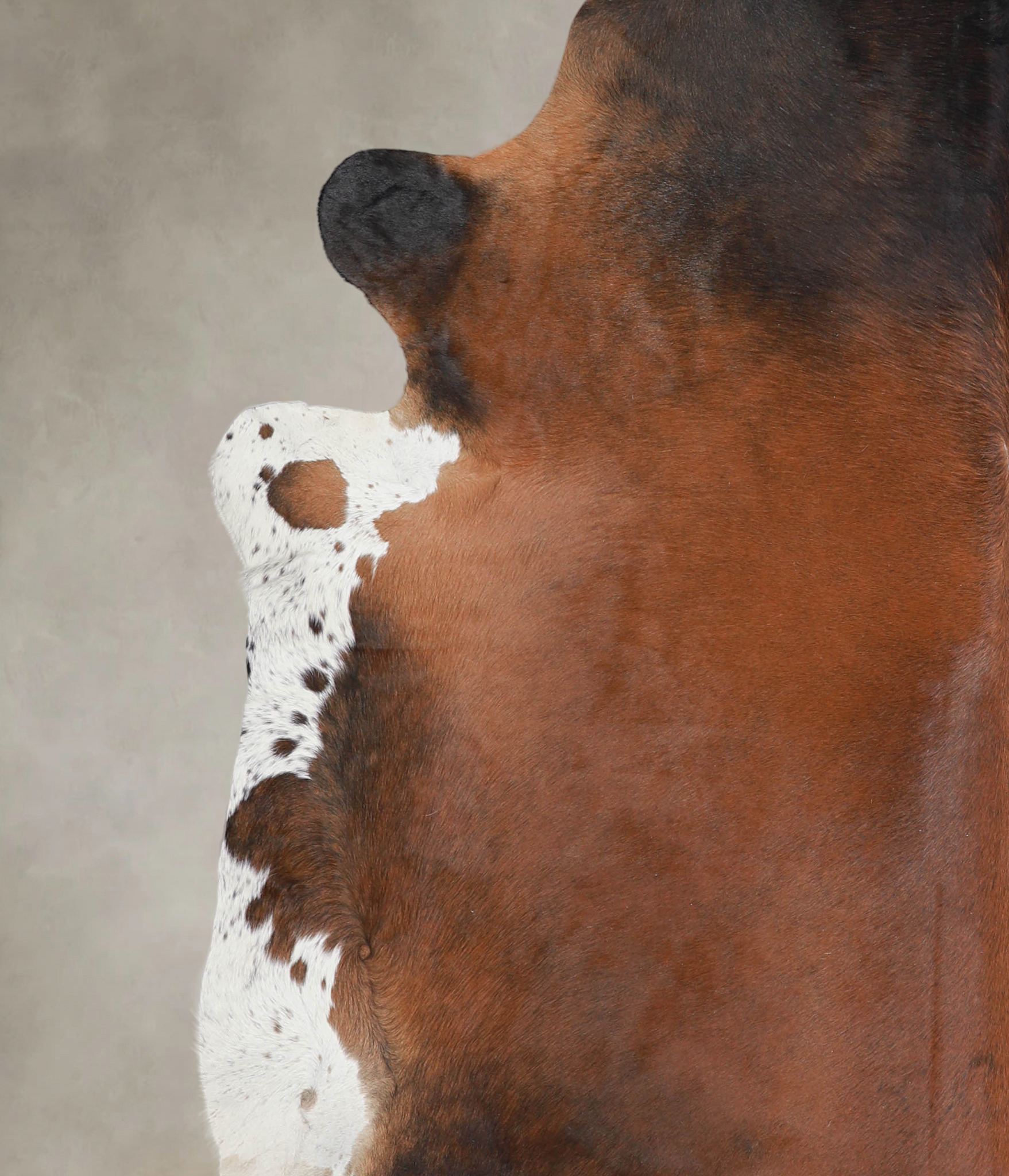 Brown with Red Cowhide Rug #A24355