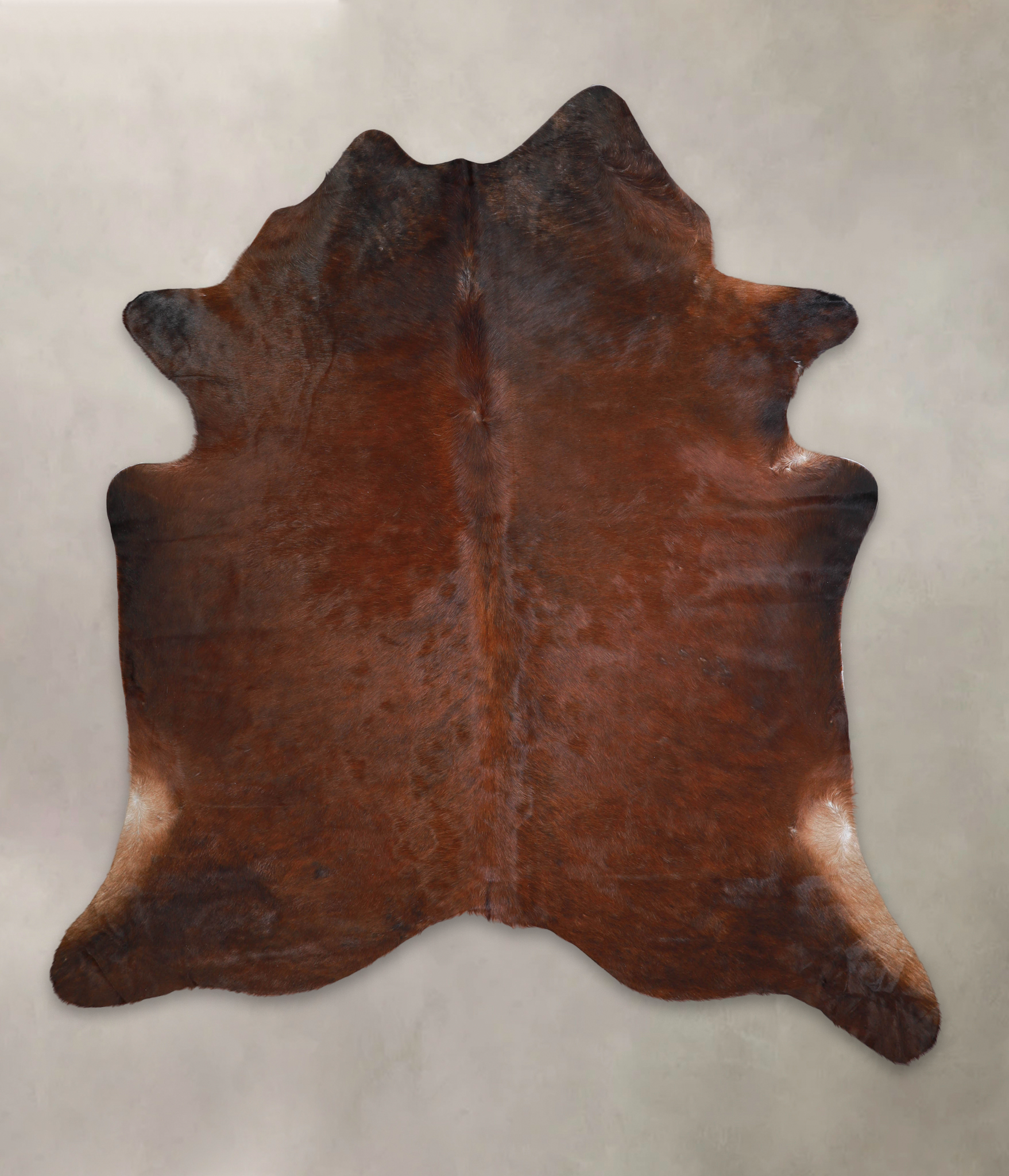 Brown with Red Cowhide Rug #A24368