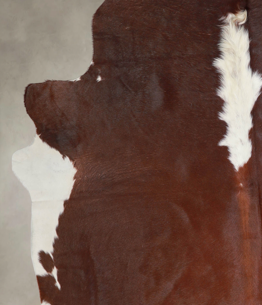 Hereford XX-Large Brazilian Cowhide Rug 7'9"H x 6'9"W #A24406 by Hudso